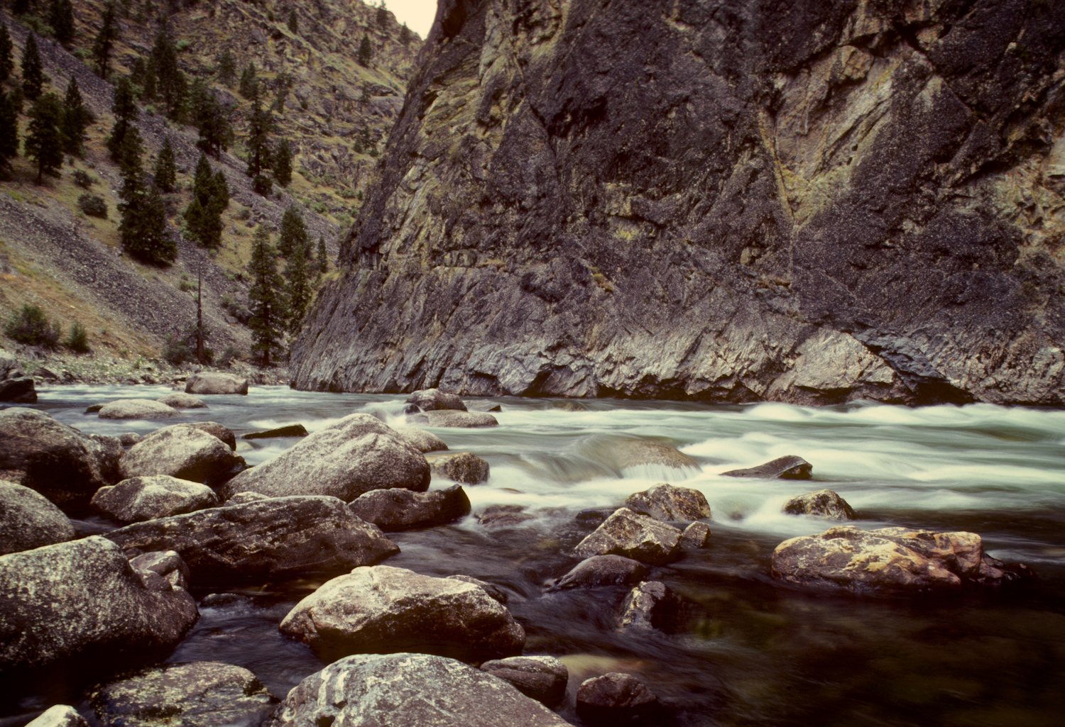 The Salmon River's Middle Fork—"The River of No Return."